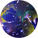 ka C. profile picture